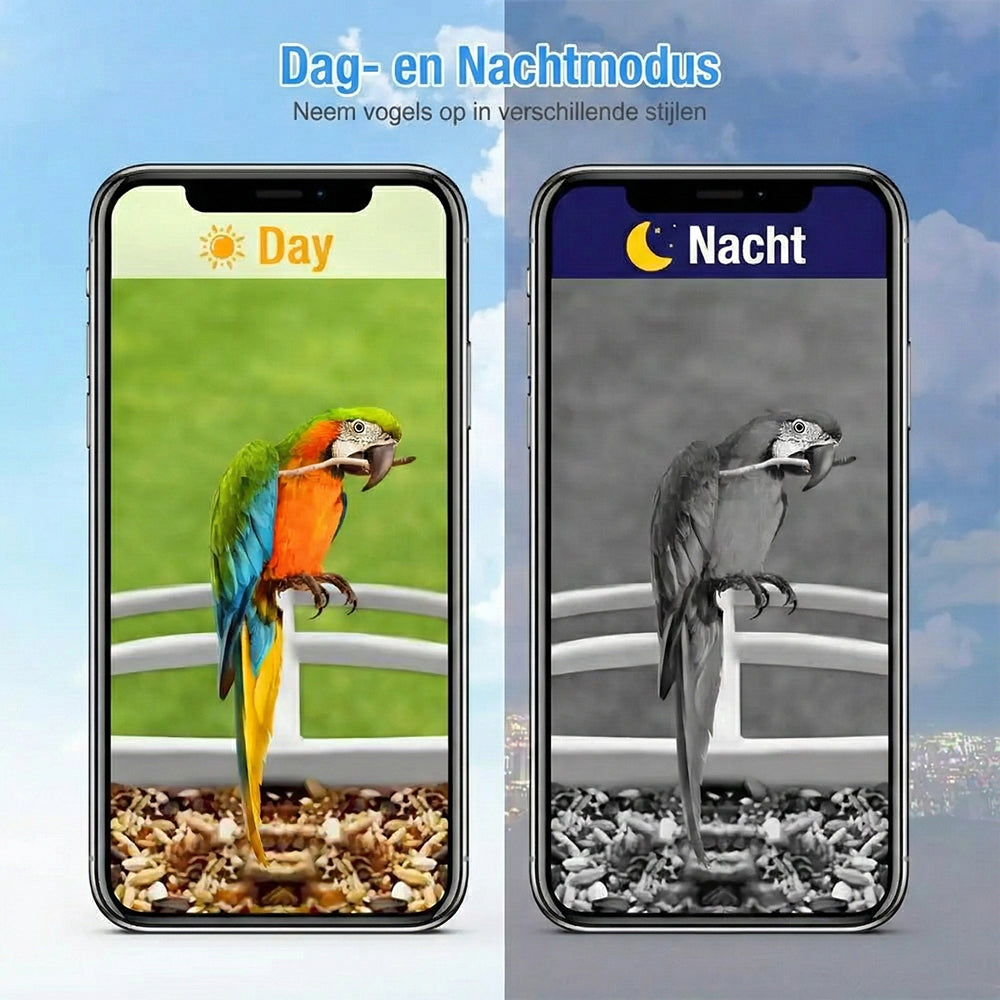 BirdiSpot