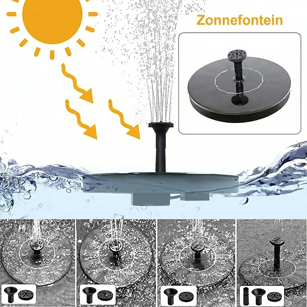 SunFenie
