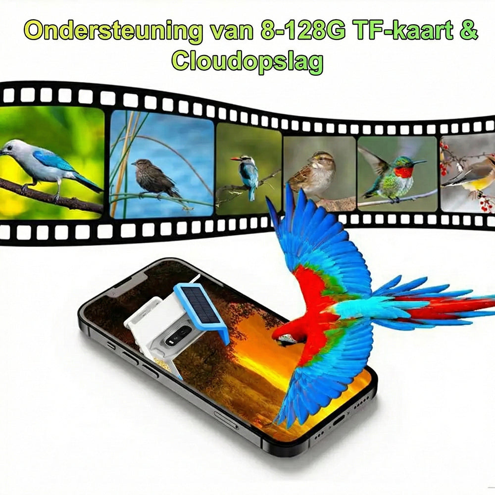 BirdiSpot