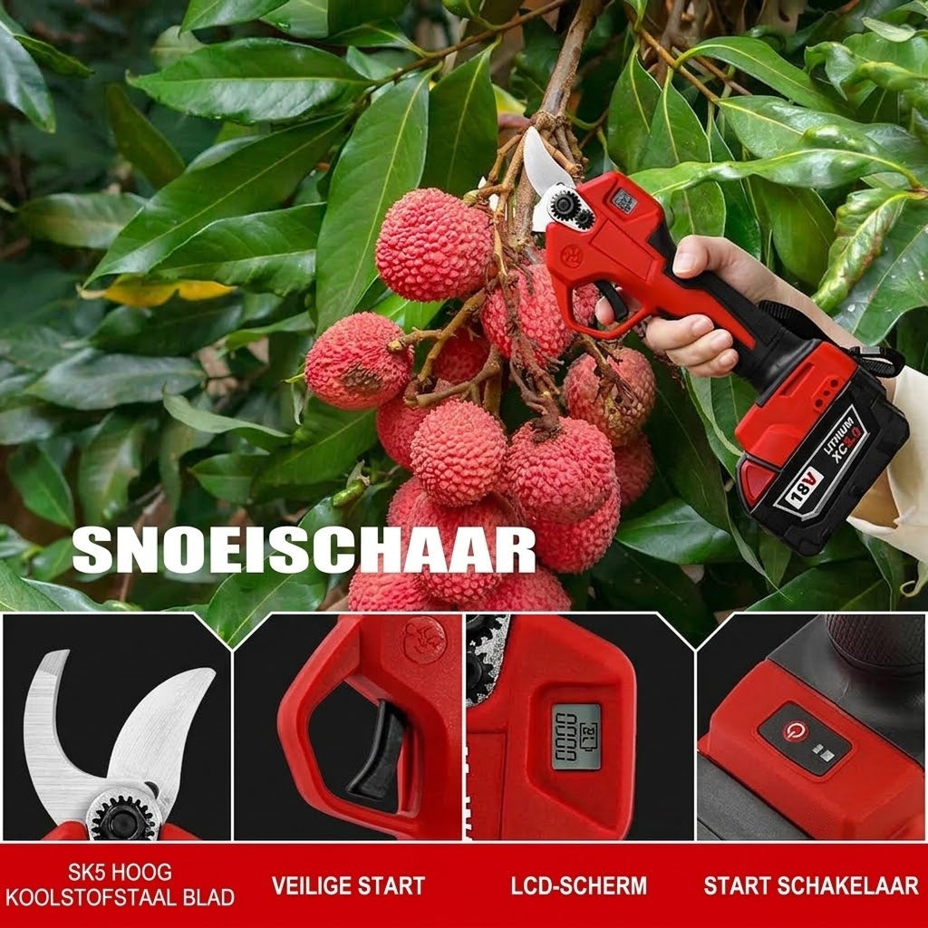 ClipoZen
