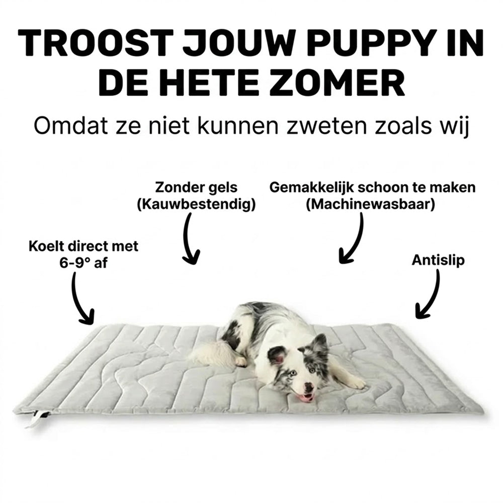 Kobolaf
