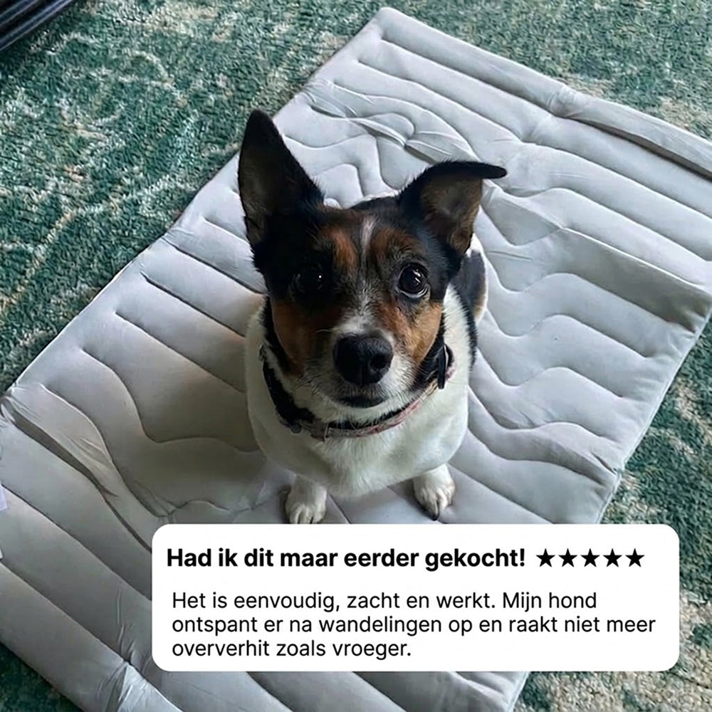 Kobolaf