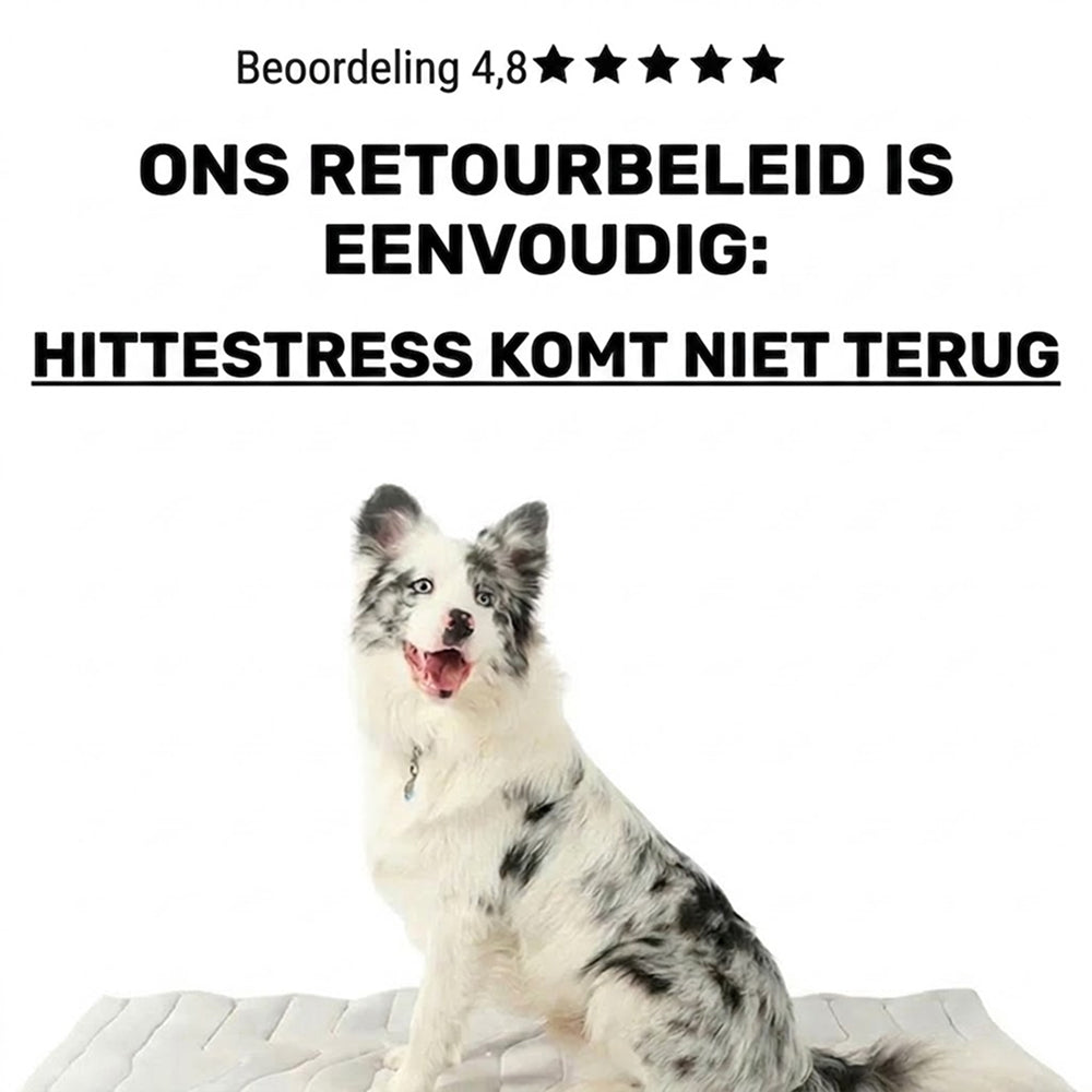 Kobolaf