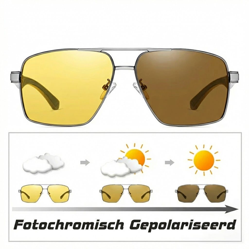 SeekoLens