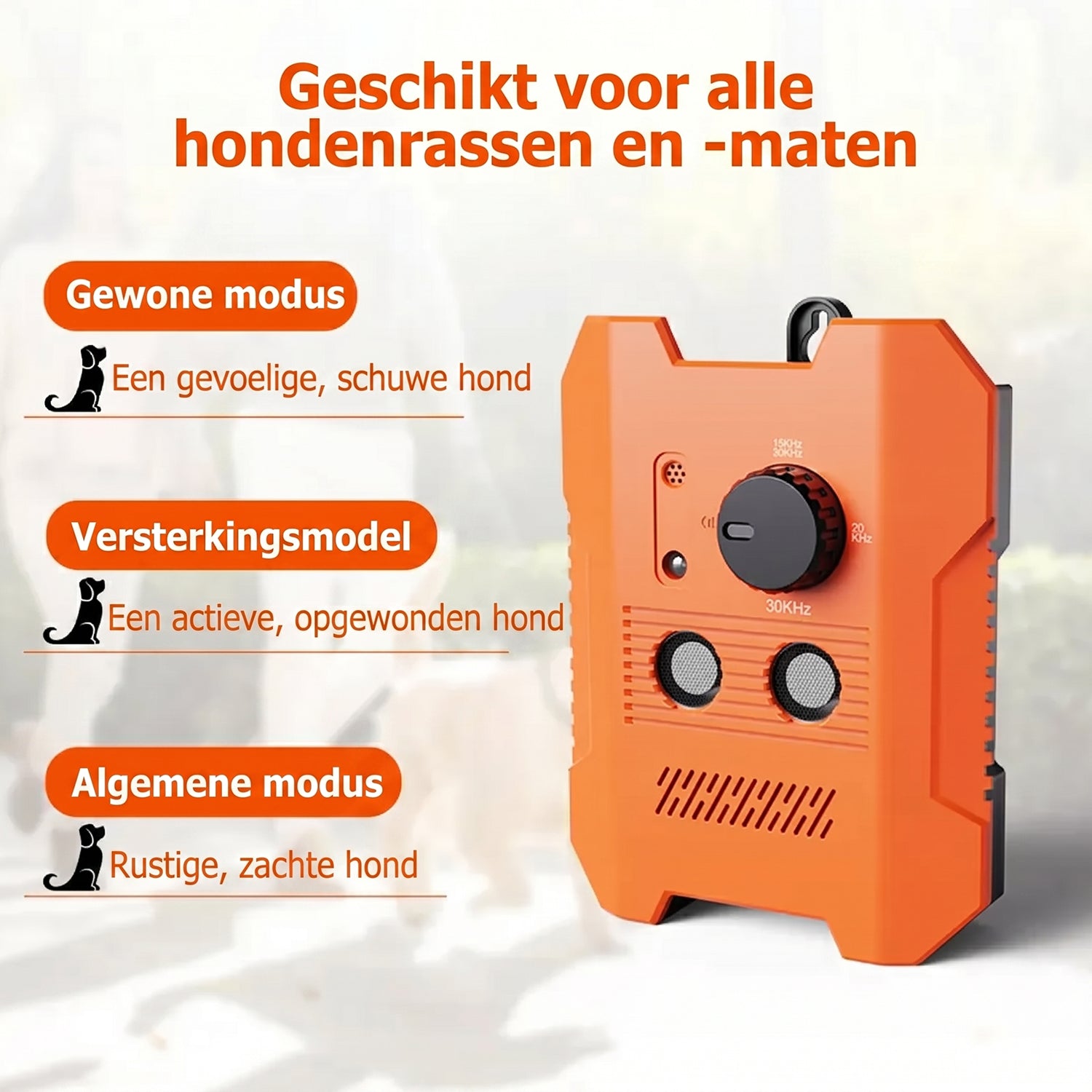 NoiziPaw