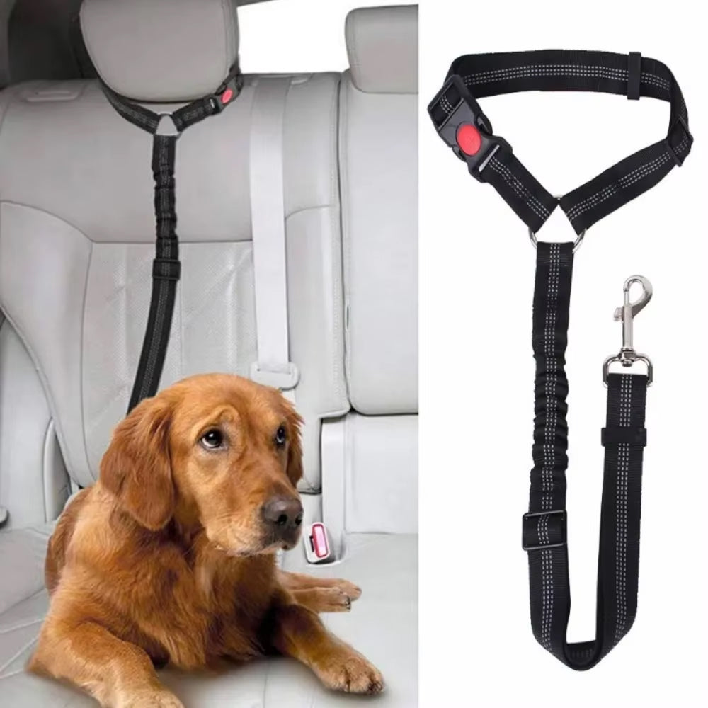 PawiStrap