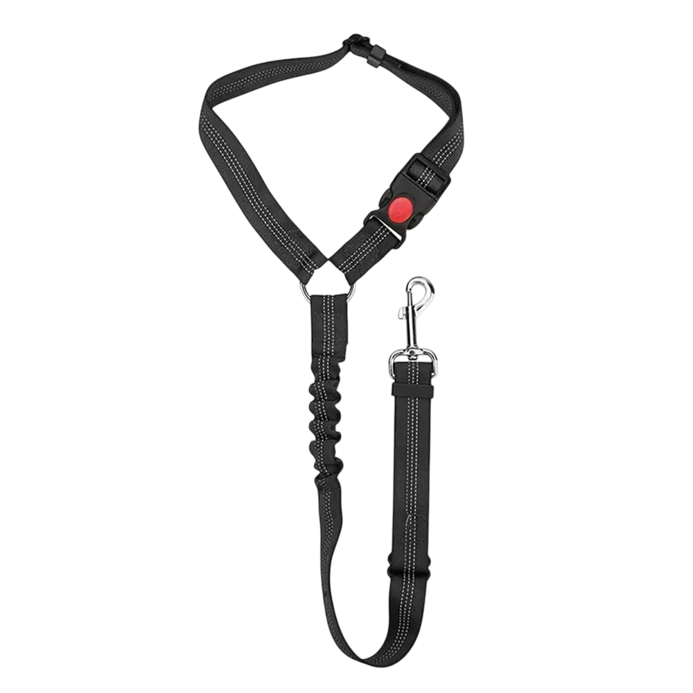 PawiStrap