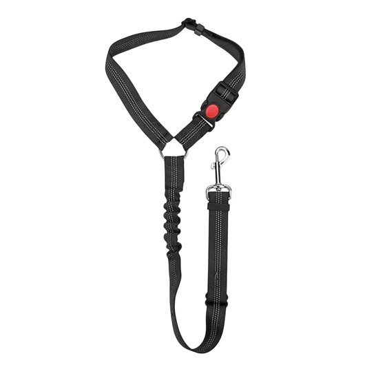 PawiStrap