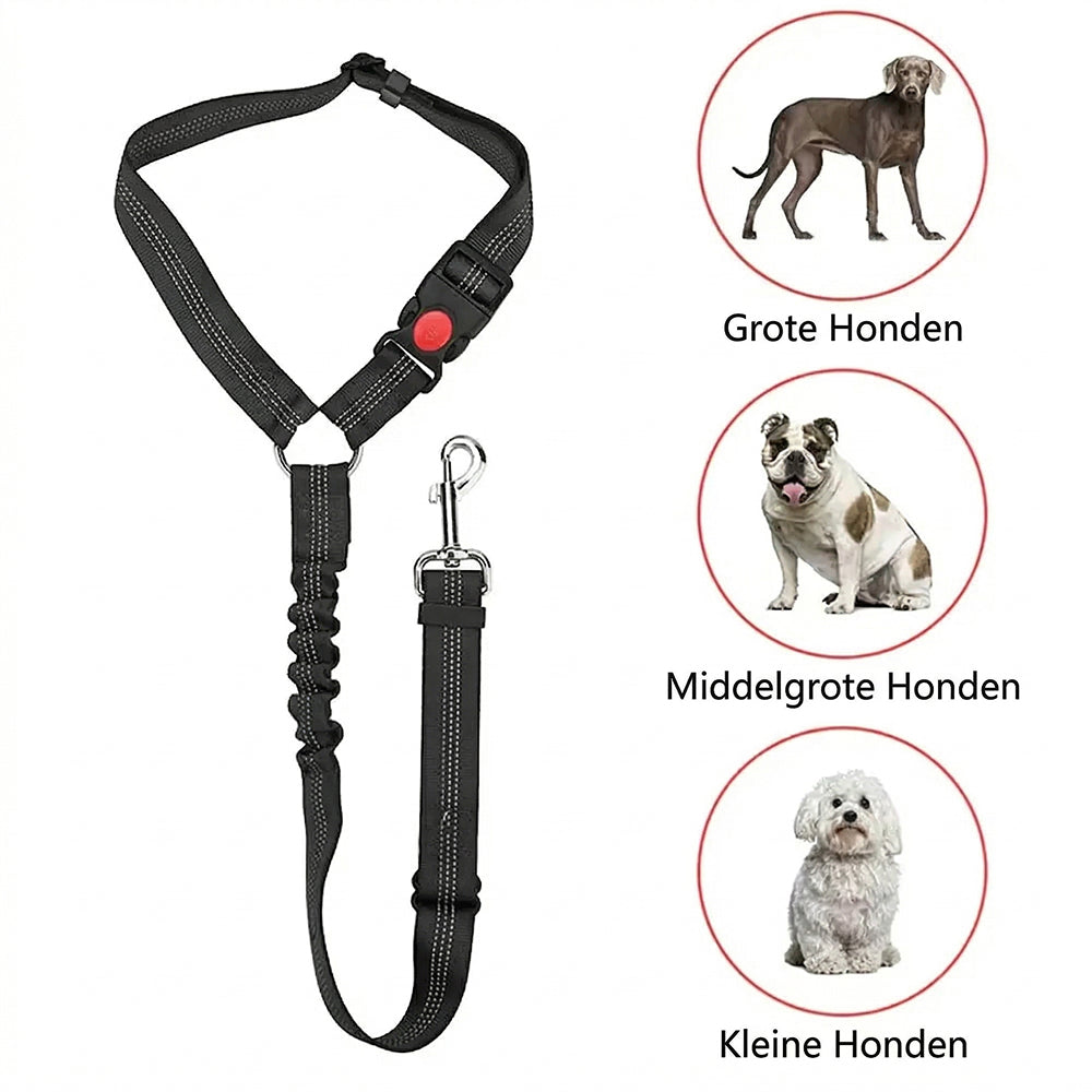 PawiStrap