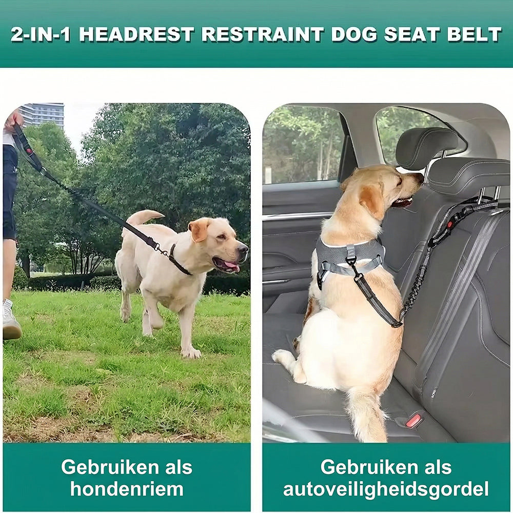 PawiStrap
