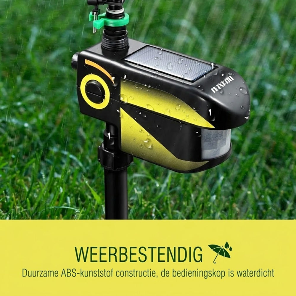 Sprynxie
